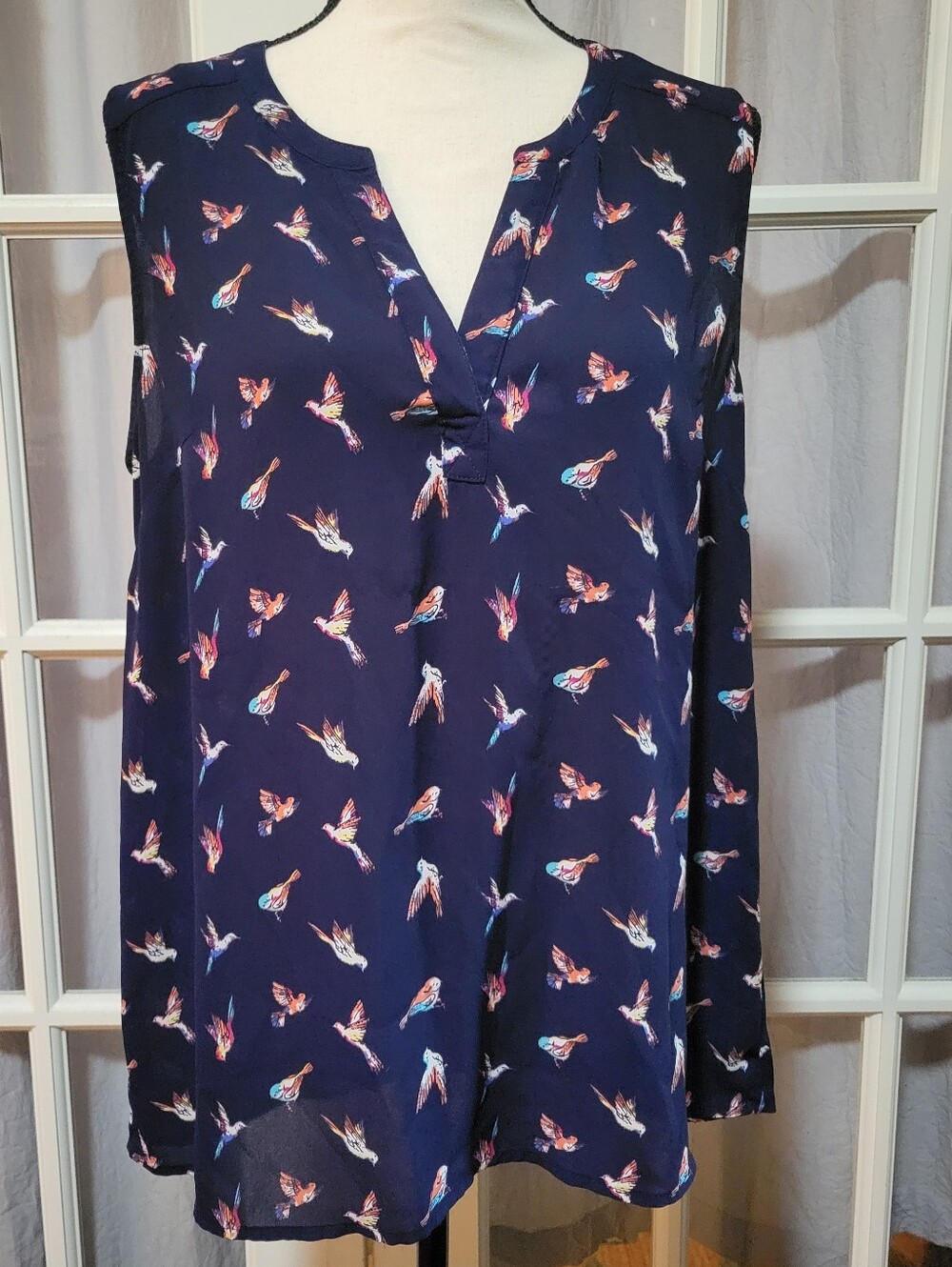DR2 Navy Long-Sleeve V-Neck Top with Multicolor Bird Print